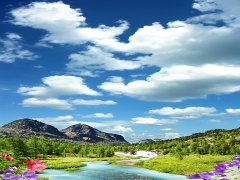 TAVAN DUVAR GERG� TAVAN RES�MLER�