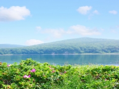 DEN�Z SAH�L GERG� TAVAN RES�MLER�
