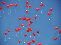 BALONLU GERG� TAVAN RES�MLER�